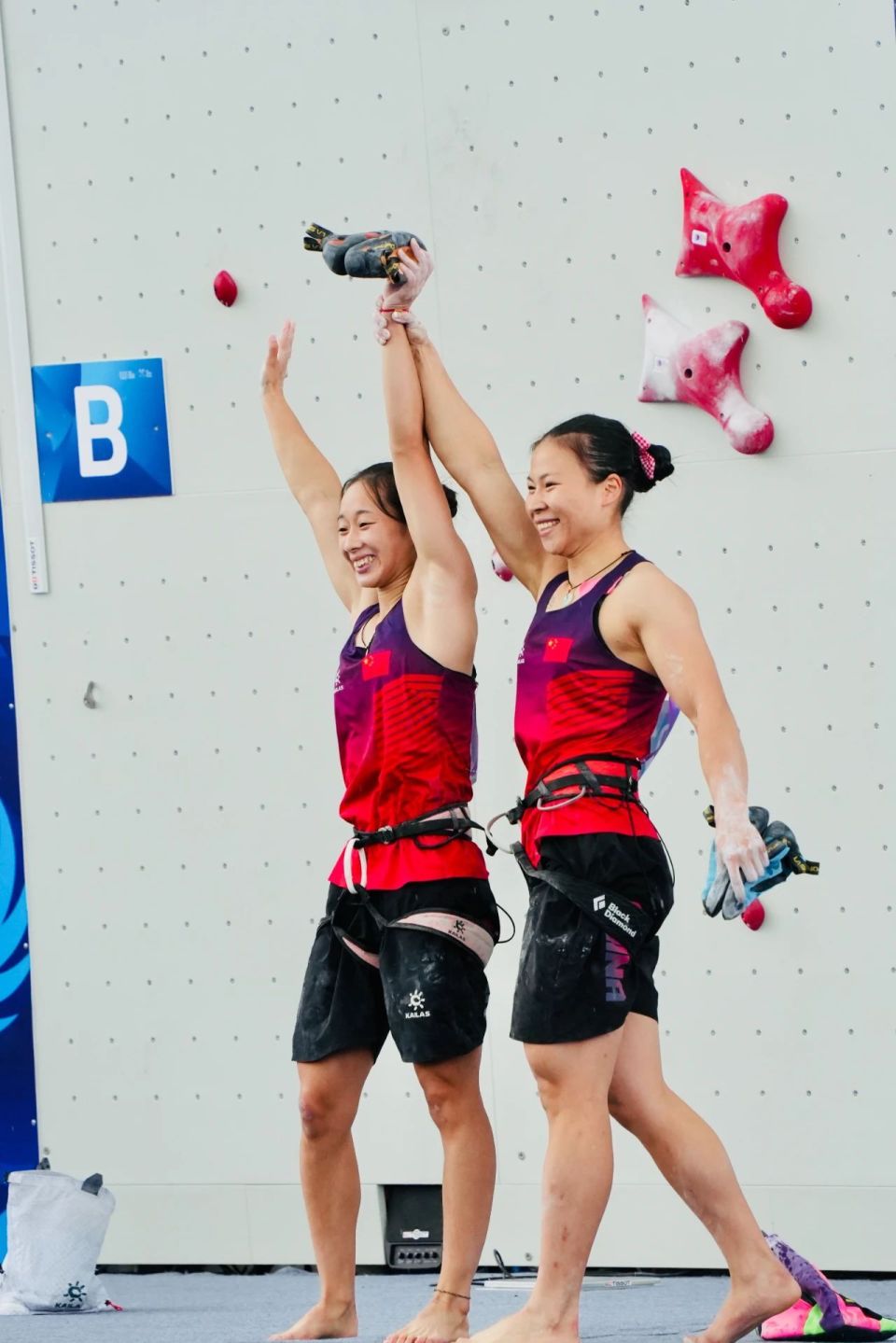 本届世运会 本届世运会