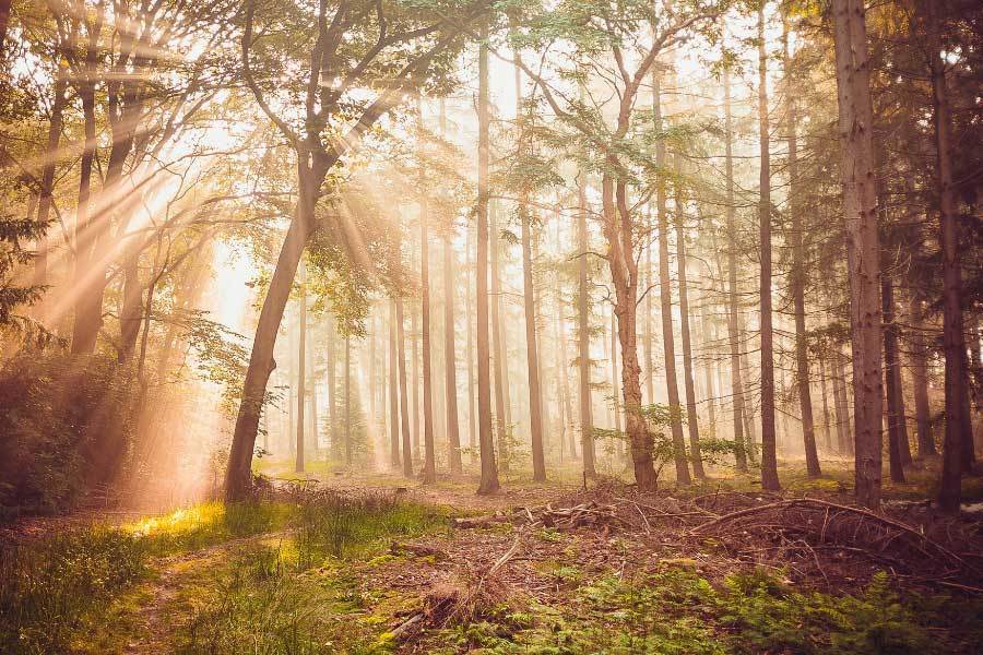交方式, 摄影等, 的鬼斧神工